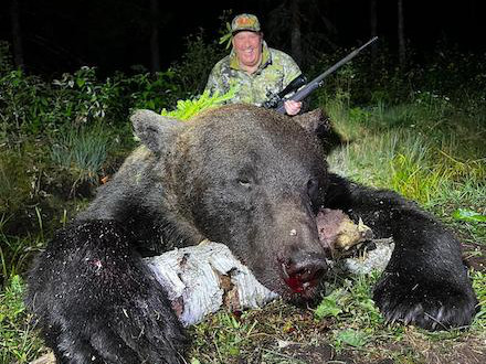 Caza del Oso Pardo